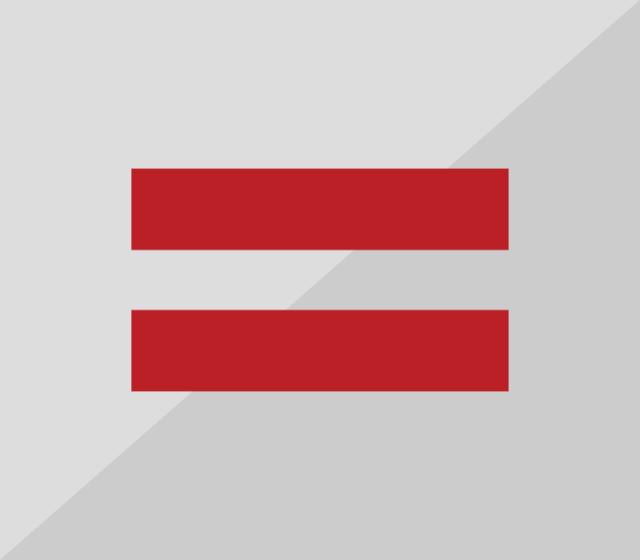Equal sign icon